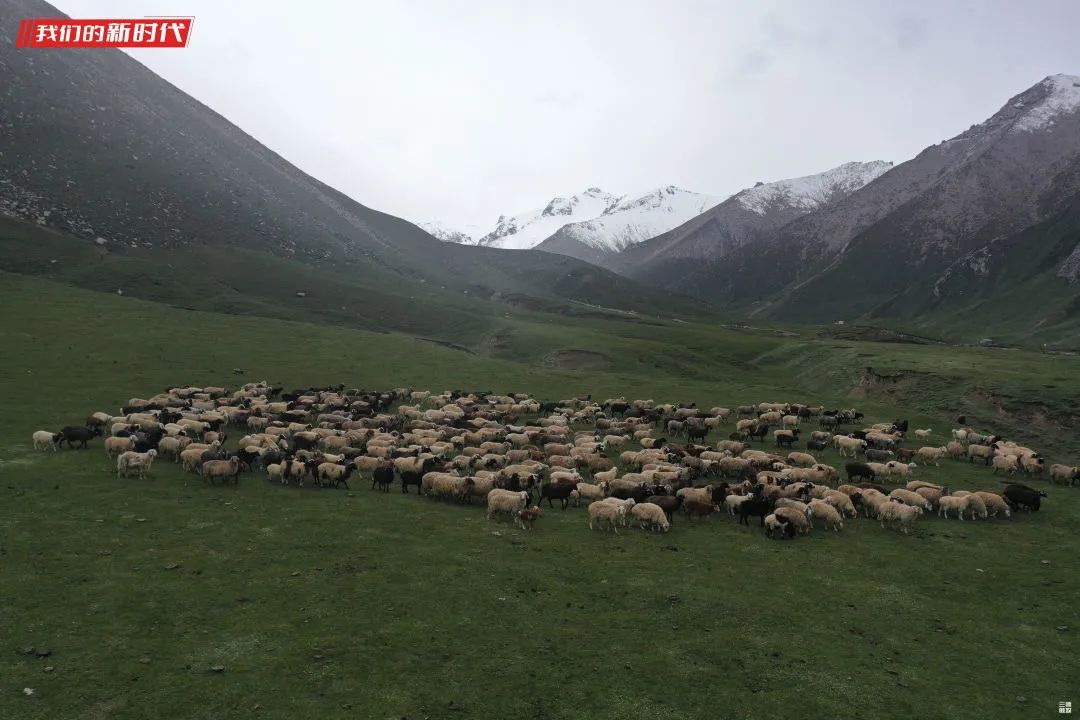 叶城二牧场三连是兵团最远,海拔最高的一个连队,这里平均海拔3200米到