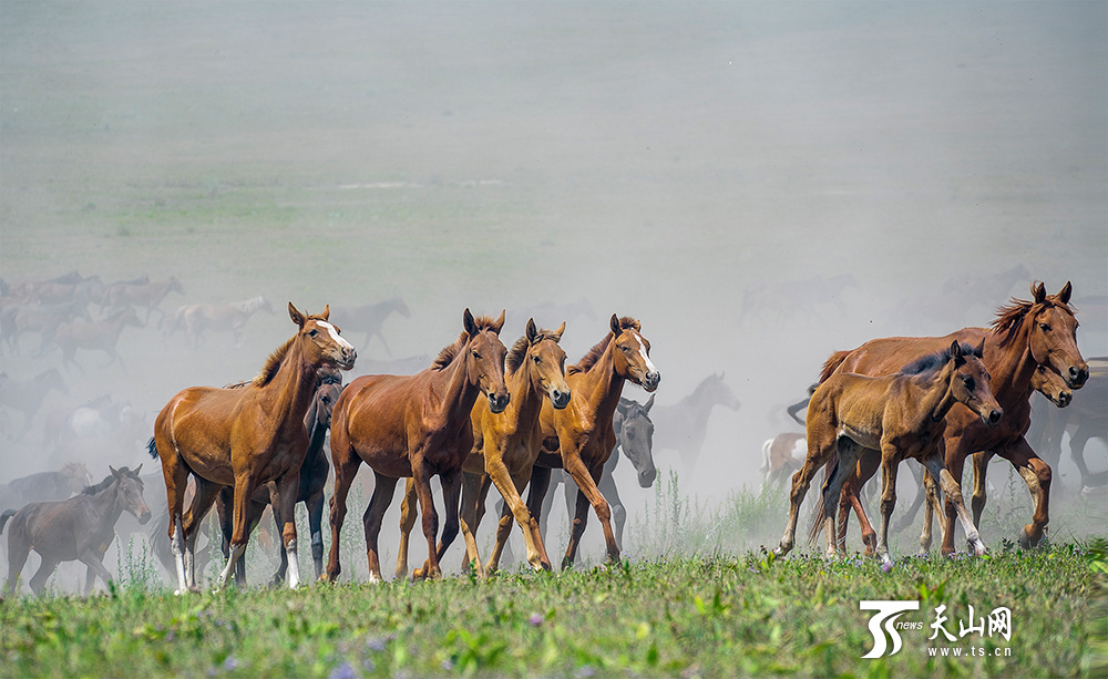 2021中国新疆伊犁天马国际旅游节在昭苏开幕