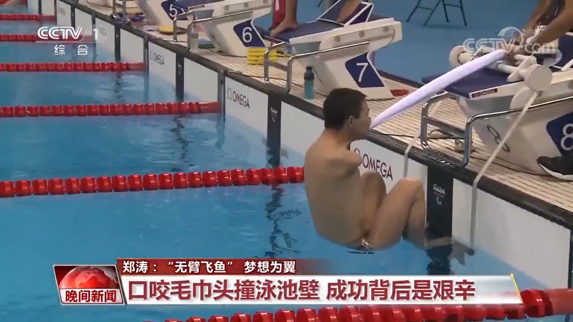 无臂飞鱼无臂美人鱼的背后故事