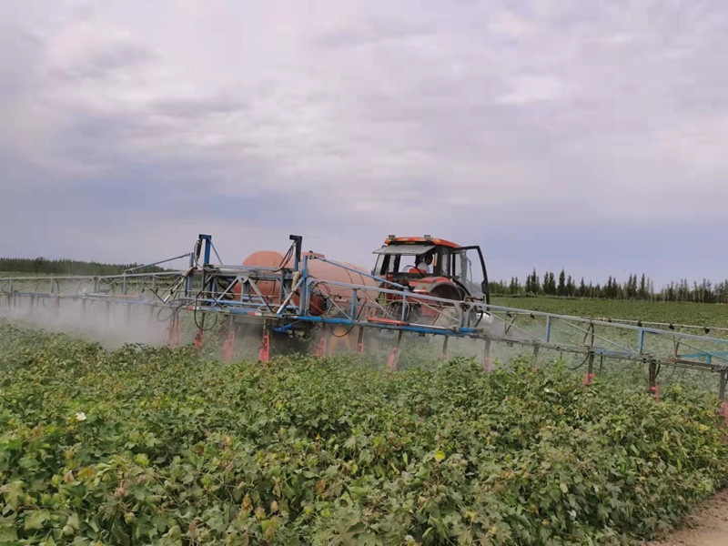 兵团第七师一二九团20万亩棉花喷施脱叶剂工作全面展开