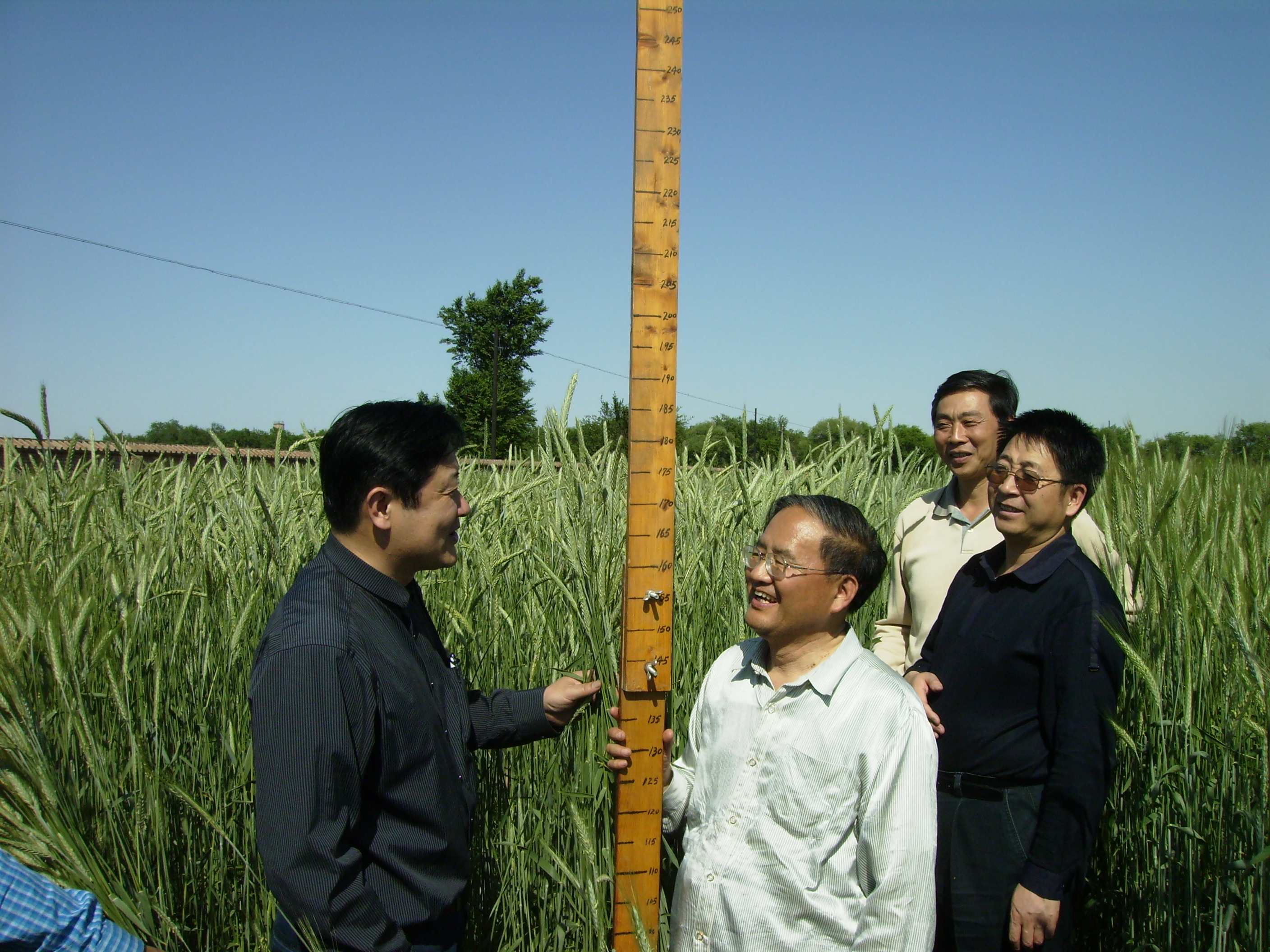 退休教师曹连莆