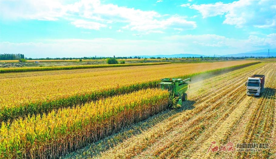 粮食稳增产饭碗端得牢喜迎2021年中国农民丰收节