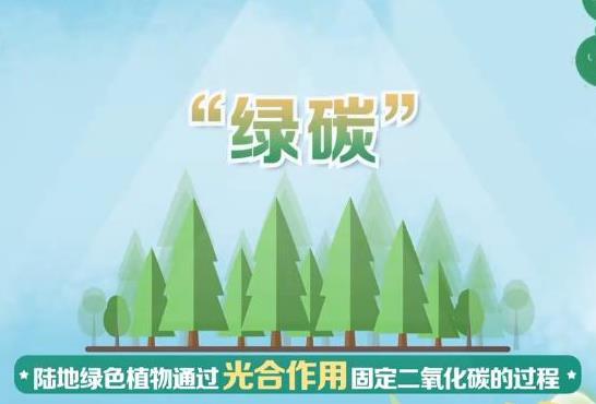 生态碳汇在传统碳汇的基础上,增加了草原,湿地,海洋等多个生态系统对