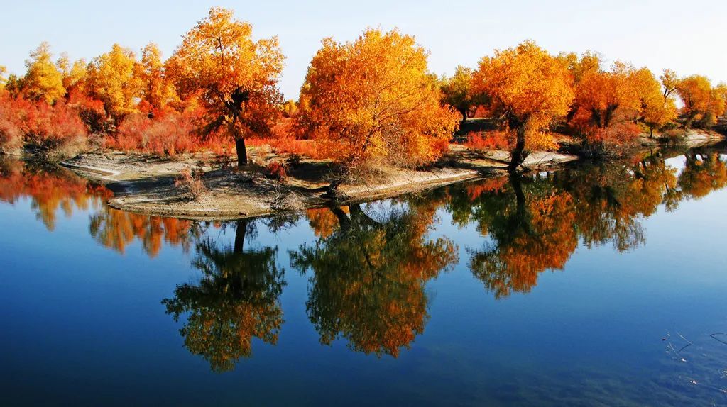 进入秋季以来,沙雅县通过开通旅游专线,强化酒店服务人员培训等措施