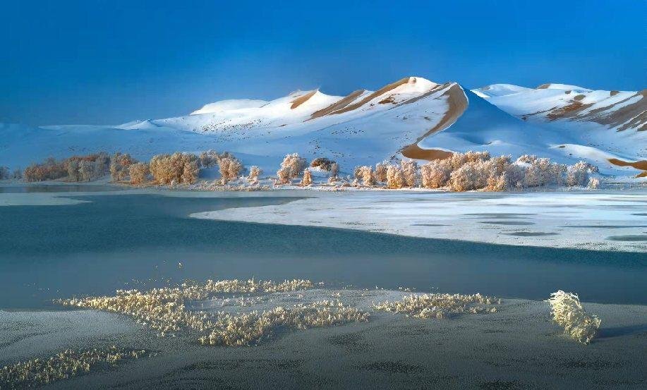 沙漠也会下雪塔克拉玛干沙漠雪美到惊艳