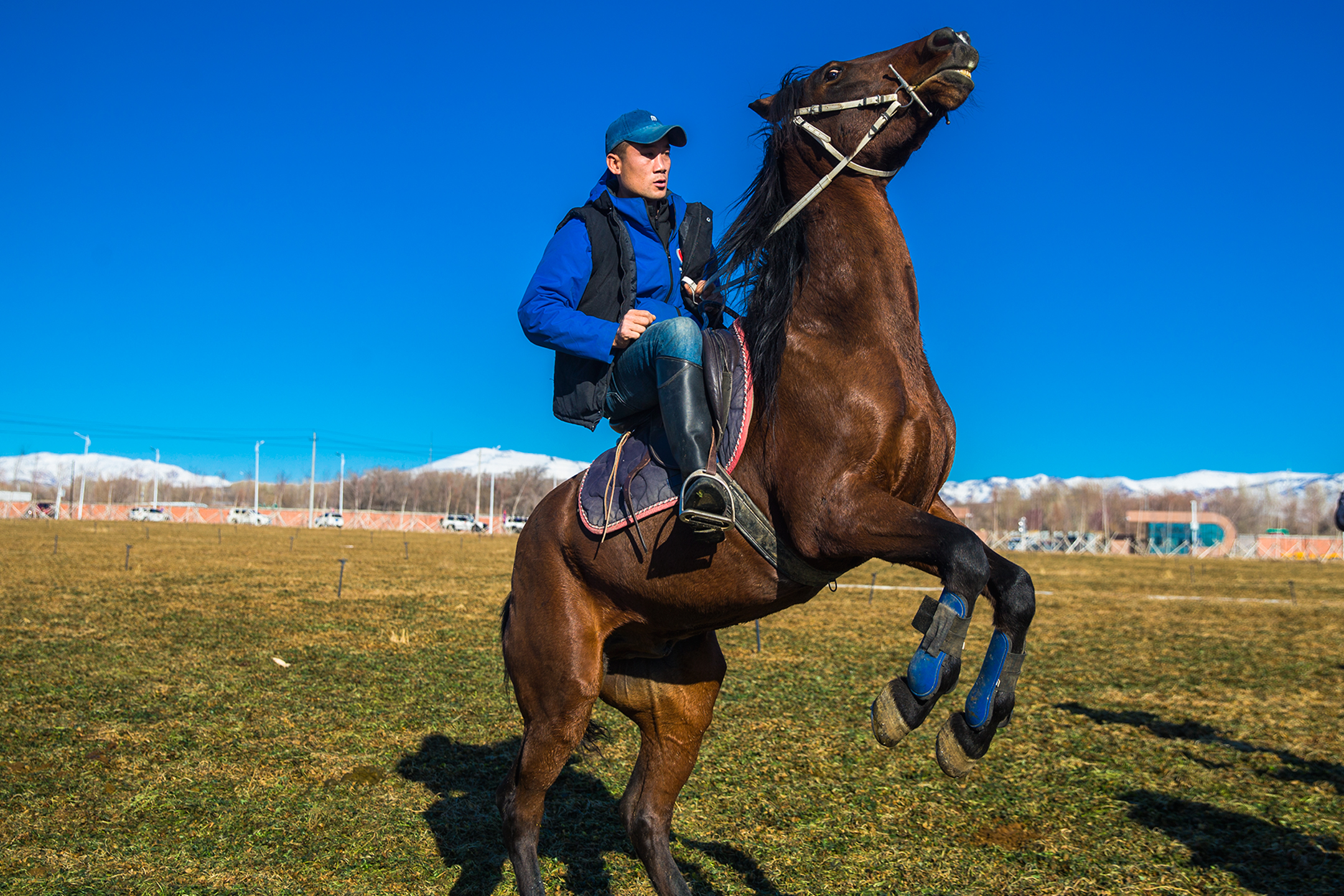 快来看阿勒泰旅游火热的秘密藏不住啦