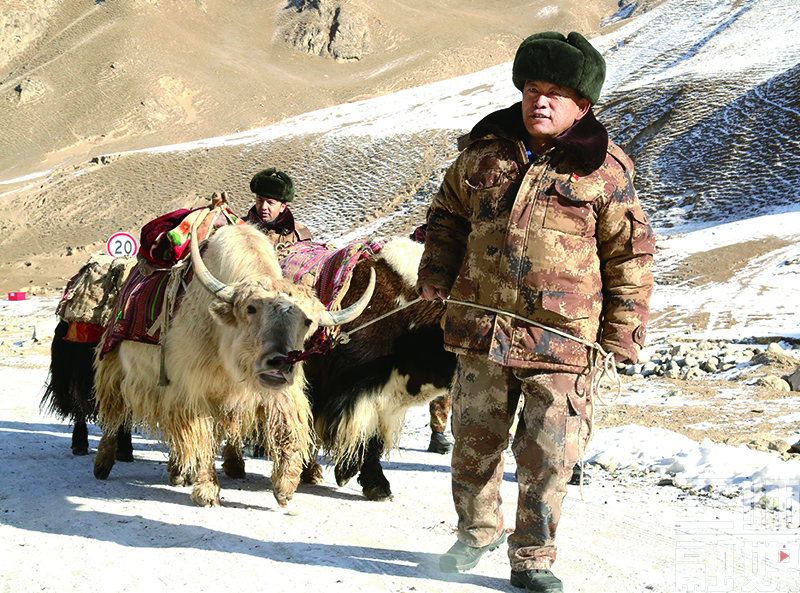 近日,兵团三师叶城二牧场三连党支部书记刘前东带领连队"两委"成员