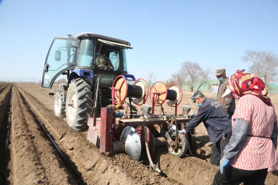 三坪农场葱葱忙忙不负春耕好时光