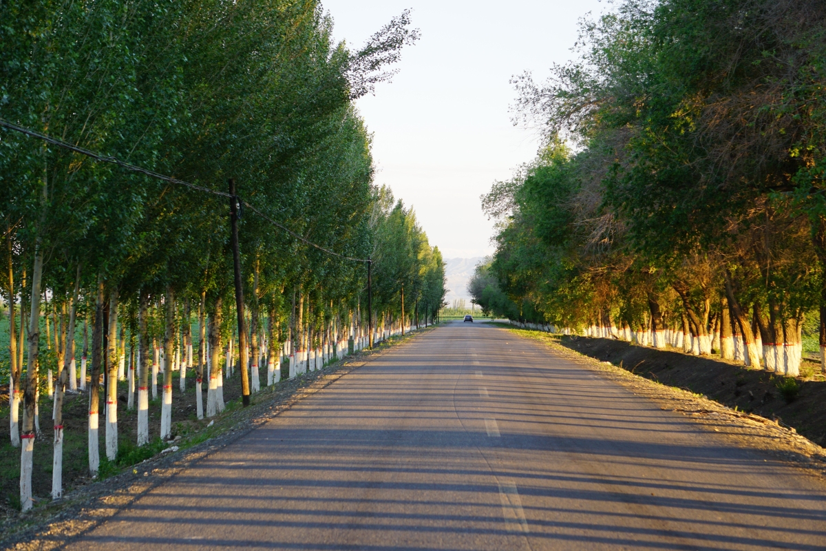 石河子总场建设美丽连队推进乡村振兴