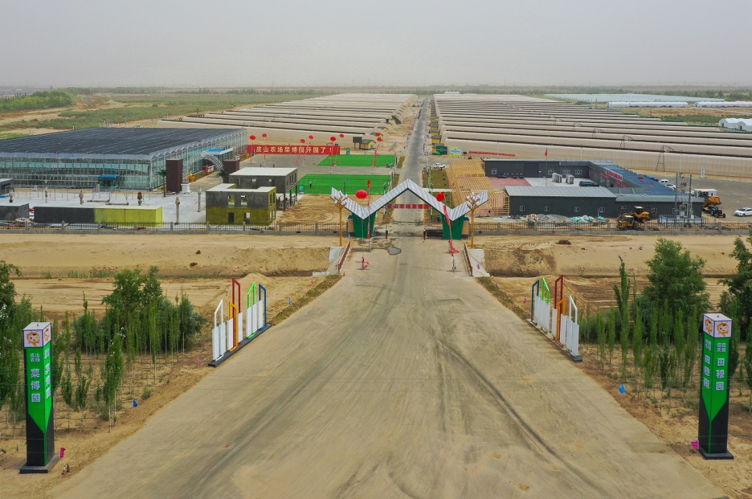 北京援疆力量助力第十四市昆玉市皮山农场产业发展