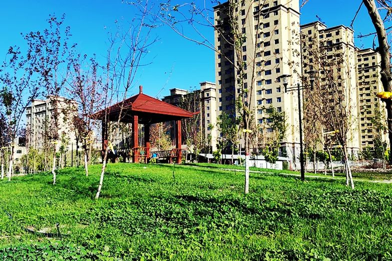 八师石河子总场街心公园即将对外开放