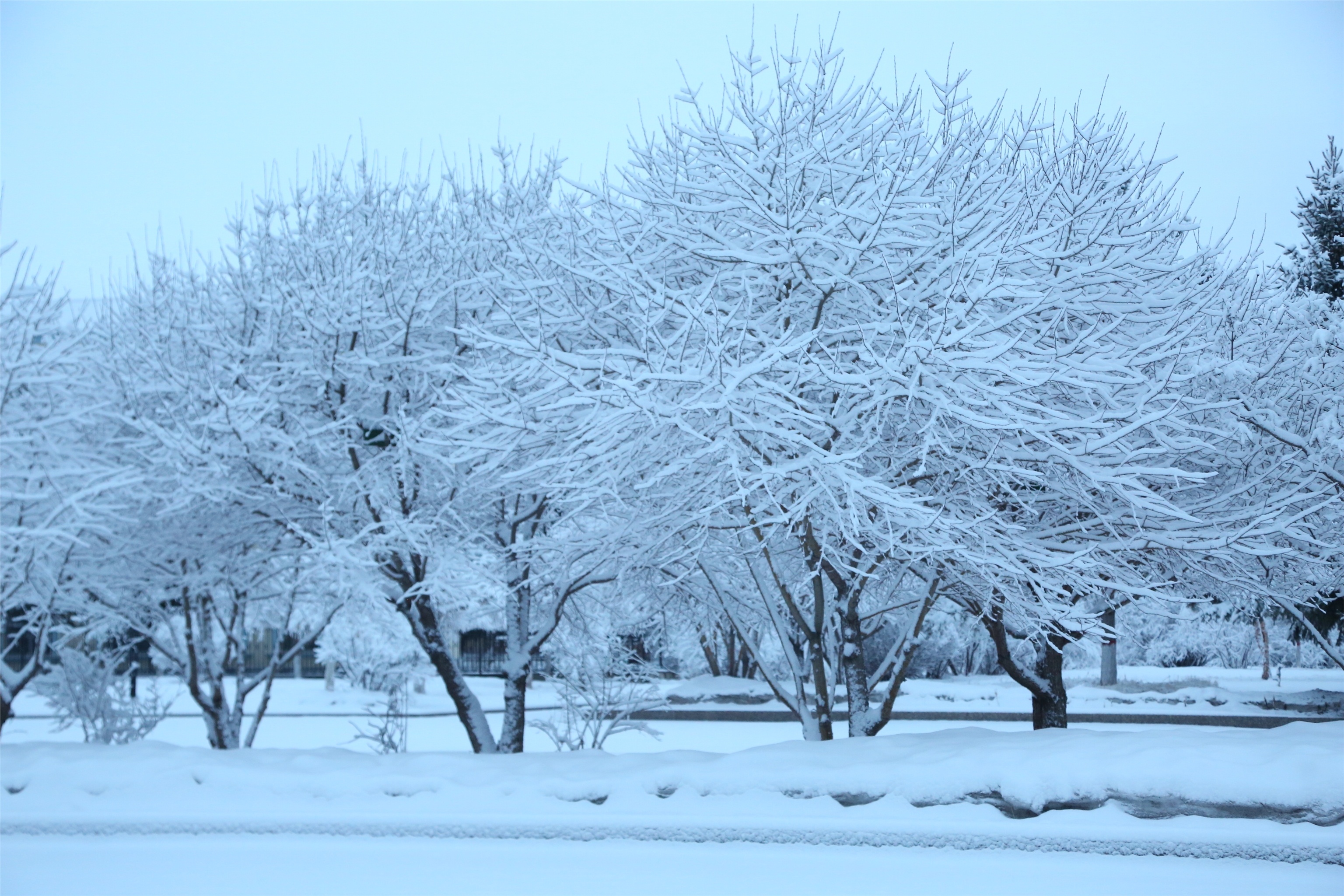 新疆昌吉雪景图片图片