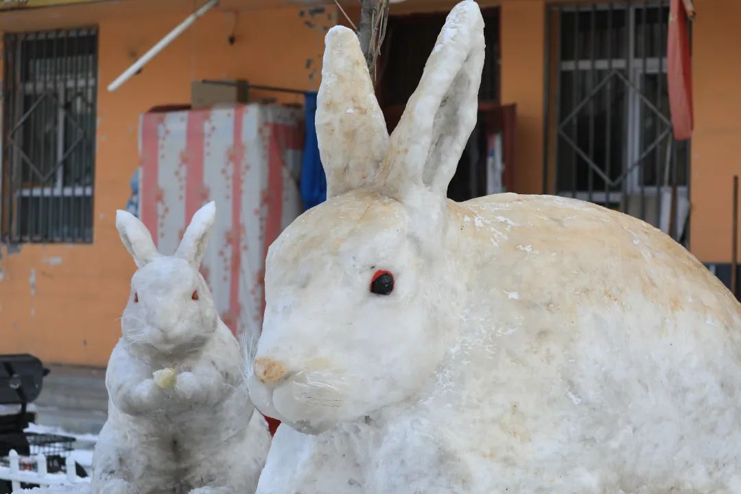 来自网红"牛"大叔的祝福:前"兔"无量!