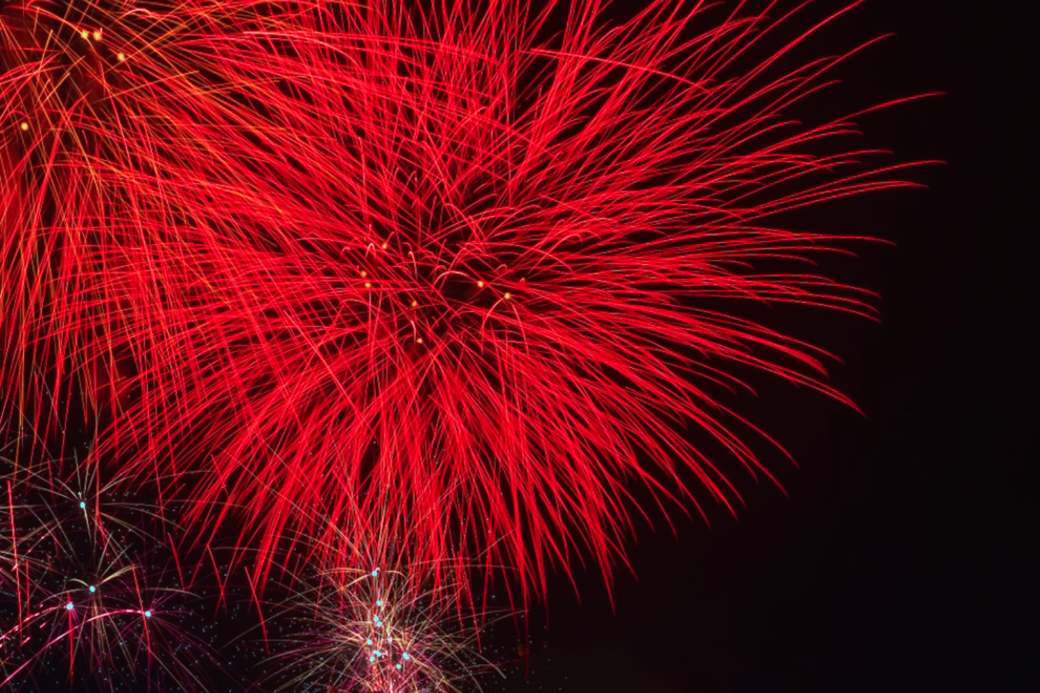 烟花飞舞迎新年图片