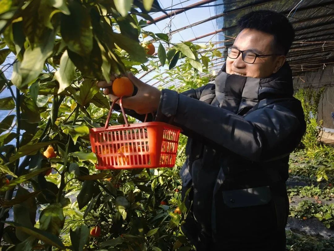 大棚蔬果促增收(图2)