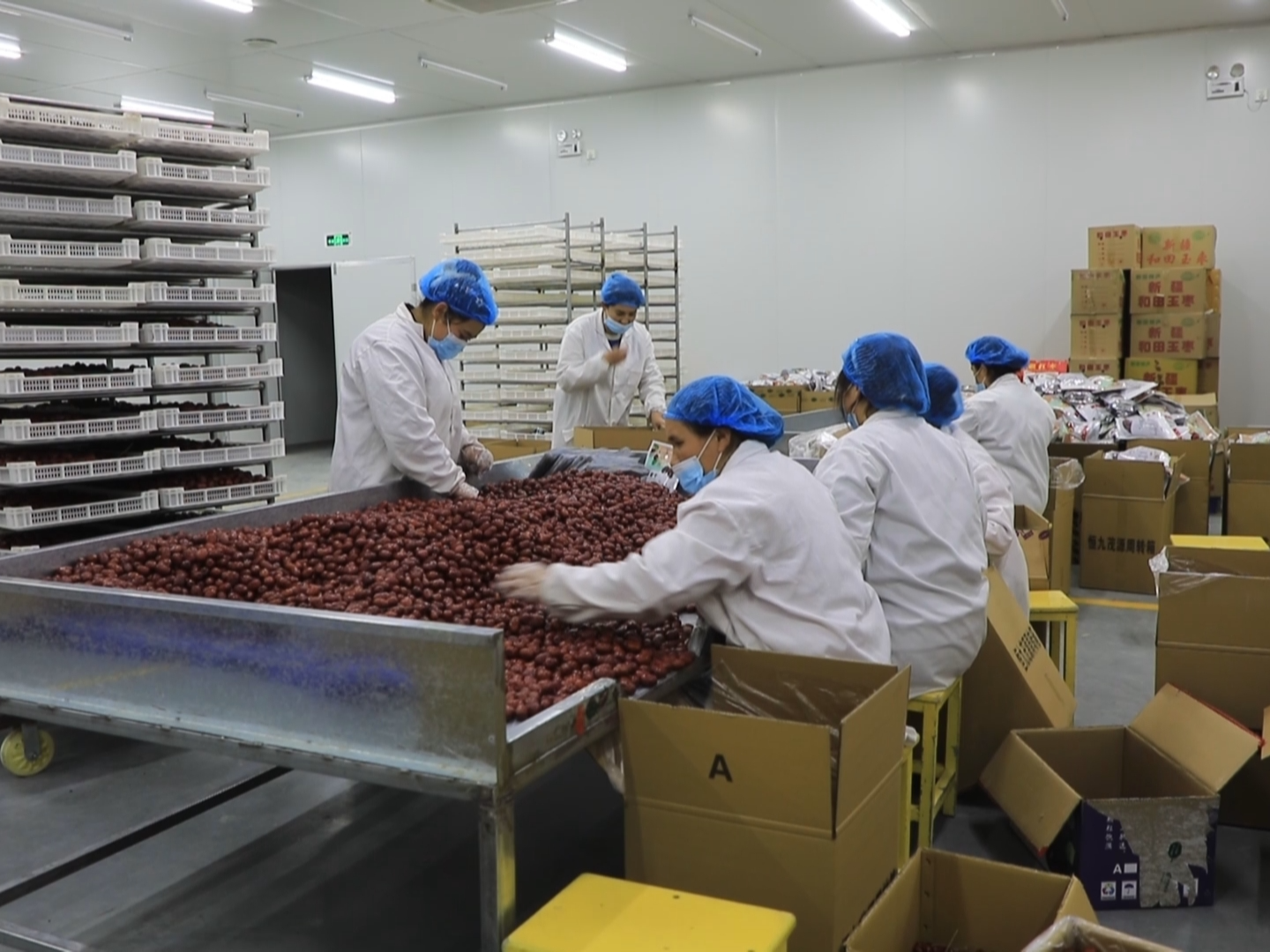 皮山农场:"公司 合作社 职工" 蹚出助农增收新路子