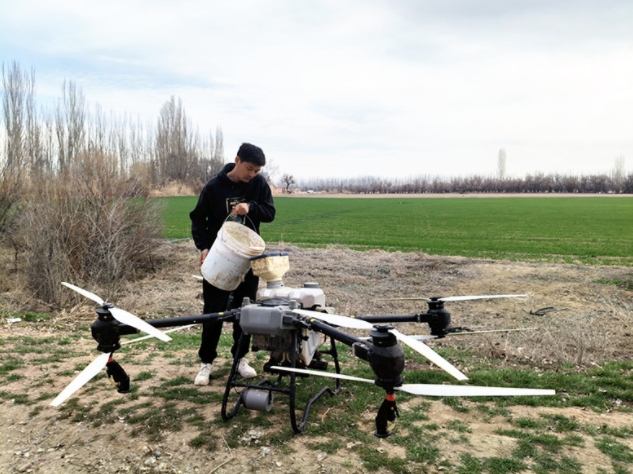 四师六十七团:无人机植保助力农业丰产增收