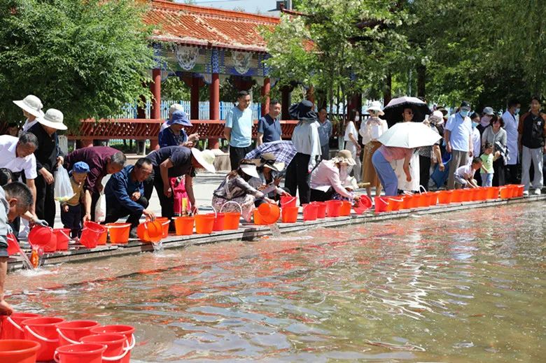 3000尾锦鲤在七〇团安了家