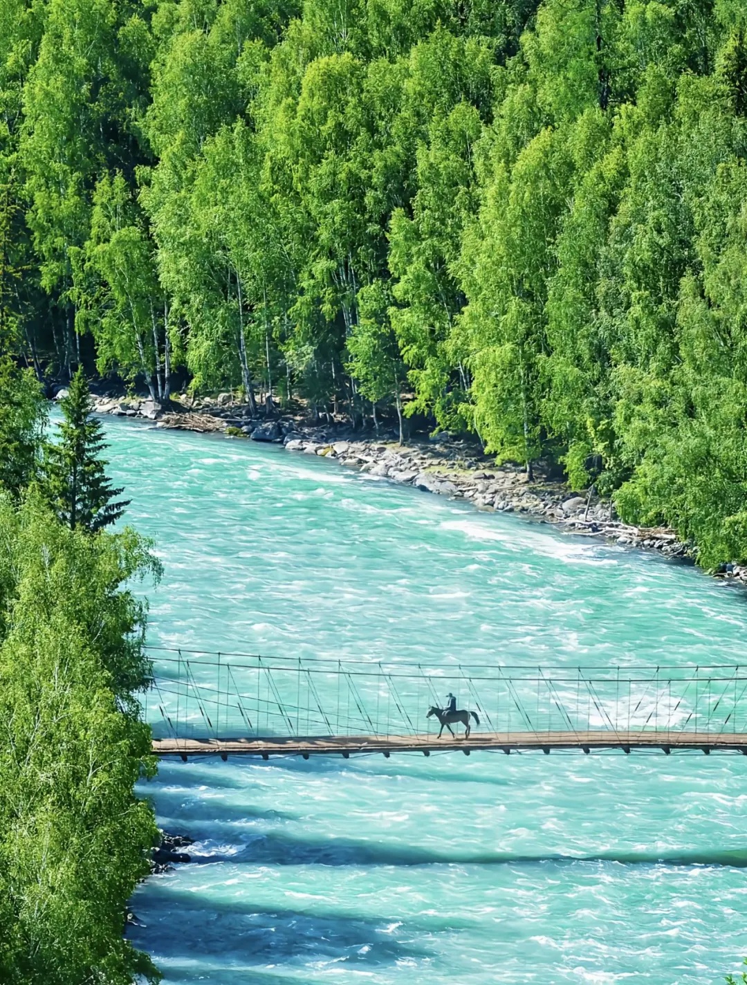 白哈巴景区介绍图片