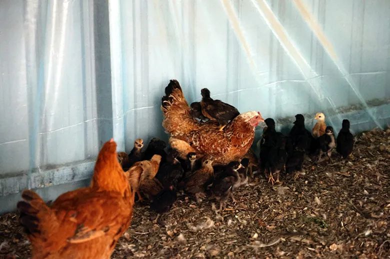 多地网传“人贩子出没”系谣言（2026·02U8国际- U8国际官方网站- U8体育APP下载·03）