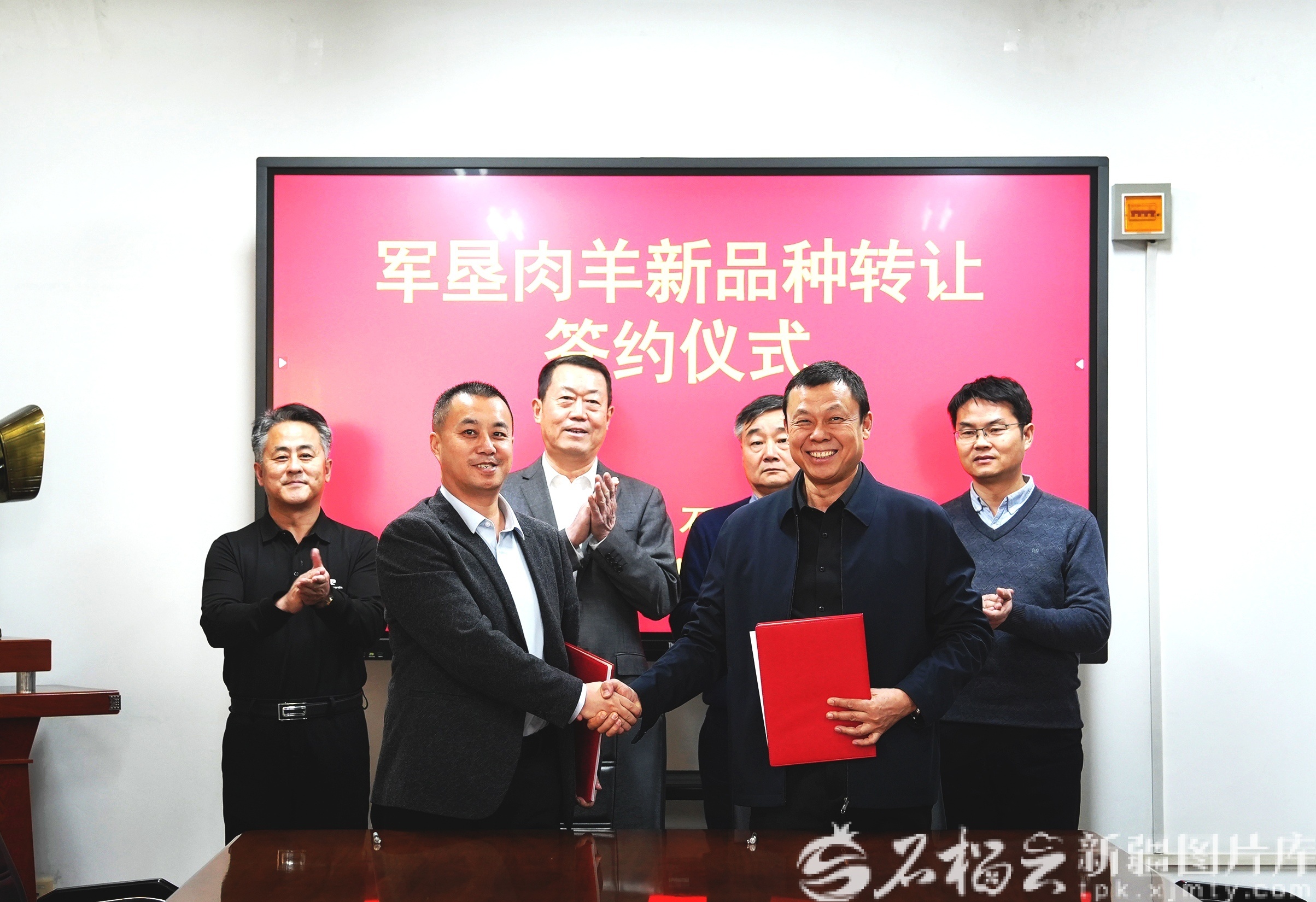 1000万元!新疆“军垦肉羊”科研成果转化金额创新高